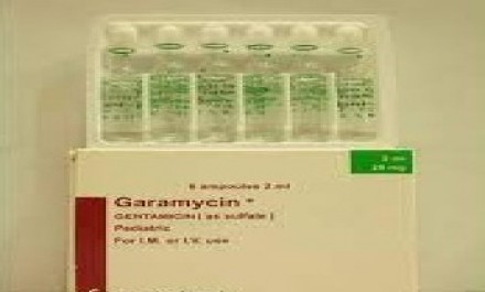 Garamycin Amp. 20mg