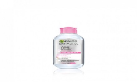 garnier micellar water 100ml